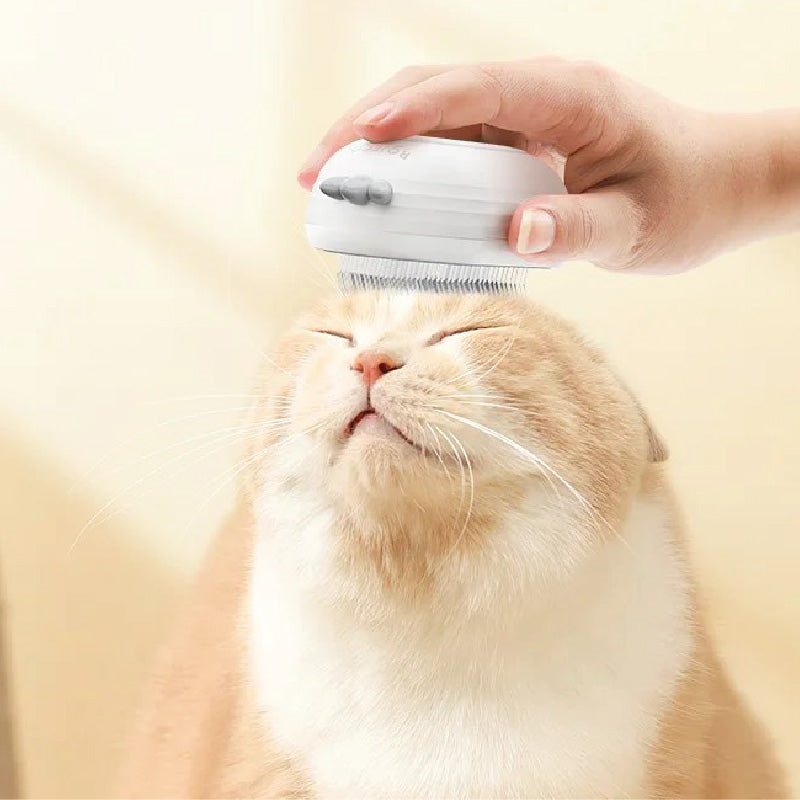 Steam Electric Pet Brush for Cats – 3-in-1 Hair Removal